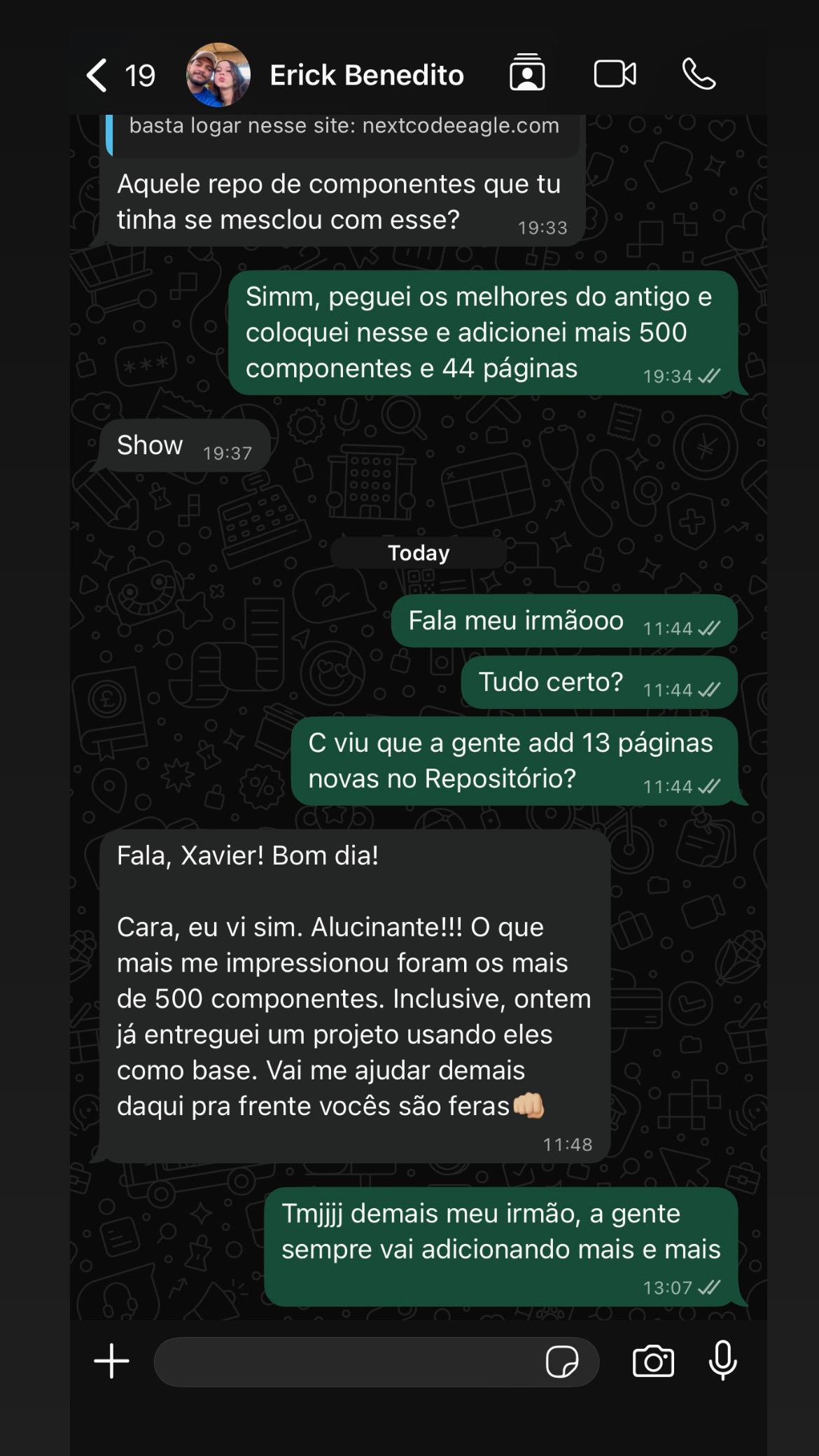 Depoimento Erick Benedito